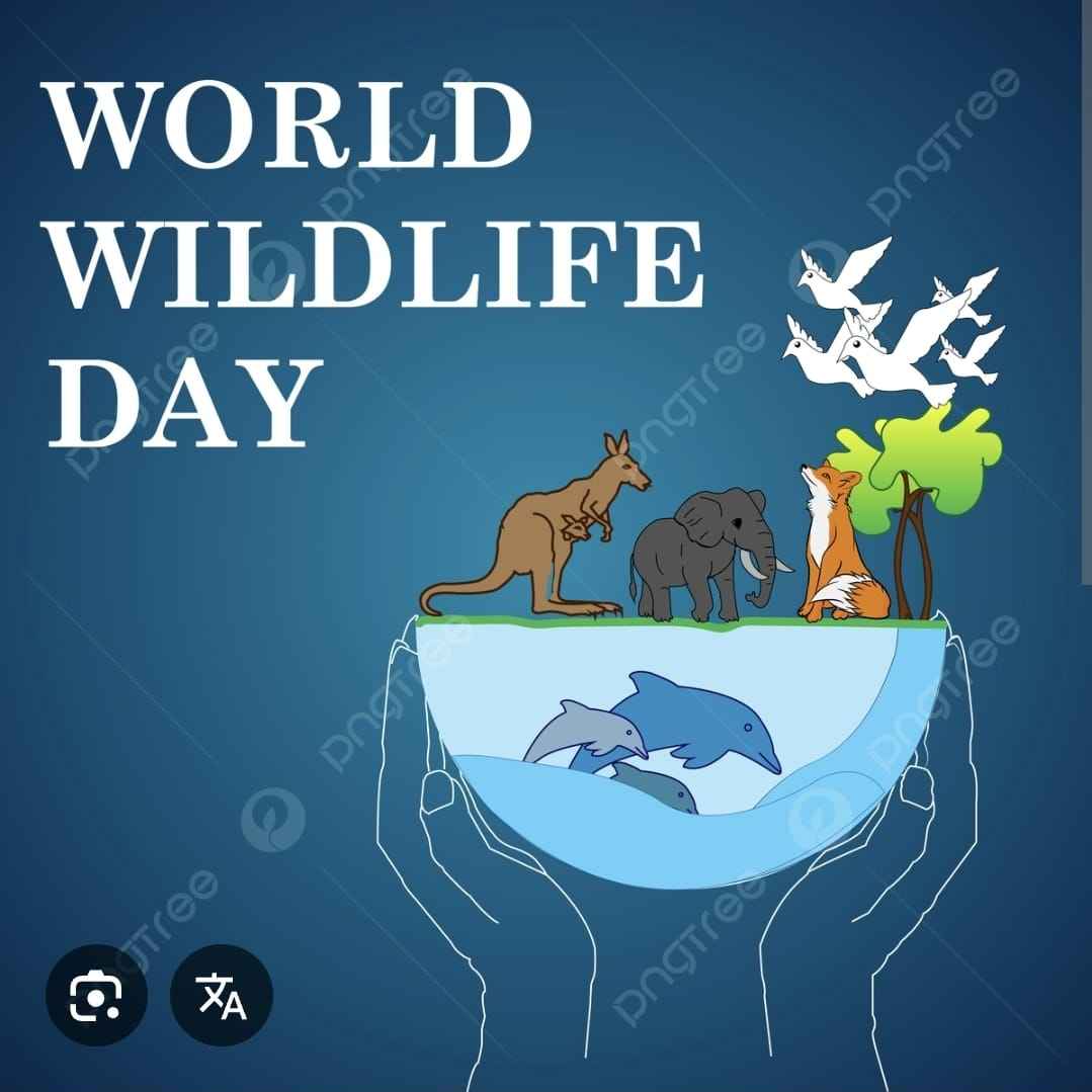 Jangan Bunuh Rumah Kita (Refleksi Hari Satwa Liar Sedunia, 3 Maret)