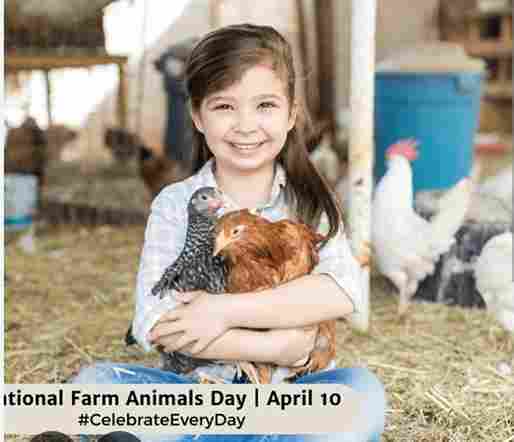 Mataan Lakum Wallan’amikum: When Livestock Test Human Consciousness (Livestock Day Reflection, April 10)
