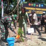 Pangdam XVIII/Kasuari Pimpin Penanaman Pohon Kakao Secara Simbolis pada Penutupan TMMD ke-128 Kodim 1801/Manokwari