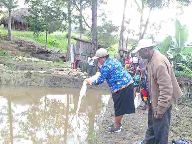 Kepala Distrik Bugukgona, Wanti Wakerkwa, Salurkan Pembibitan Kelinci Dan Ikan