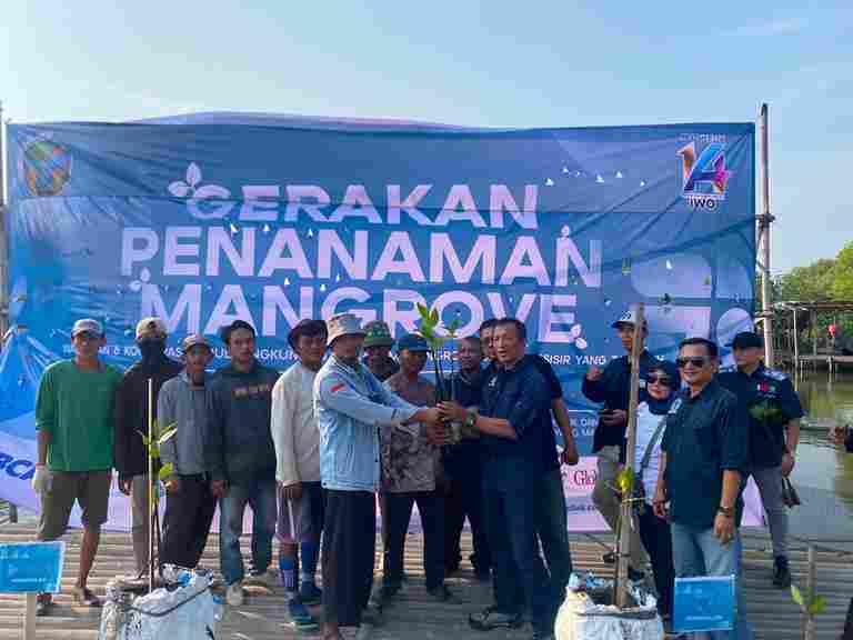 IWO Tanam 1.400 Pohon Mangrove di Tanjung Pasir: Aksi Nyata Wartawan Peduli Lingkungan, Bagian Peringatan HUT IWO ke-14