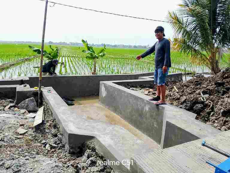 Bantuan Damparit untuk Kelompok Tani Cipeng Jaya Dongkrak Produktivitas di Desa Larangan Indramayu